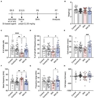 Social Communication of Maternal Immune Activation-Affected Offspring Is Improved by Si-Based Hydrogen-Producing Agent